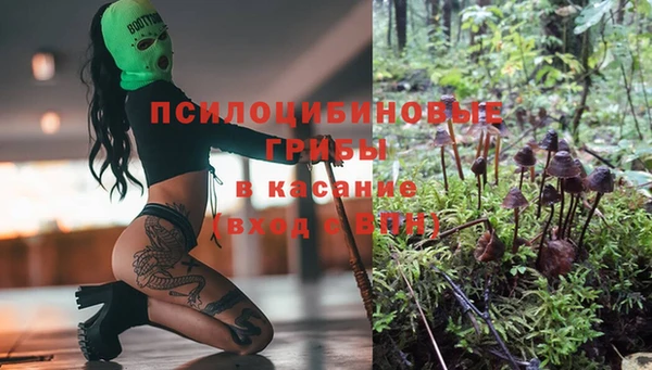 альфа пвп Касимов